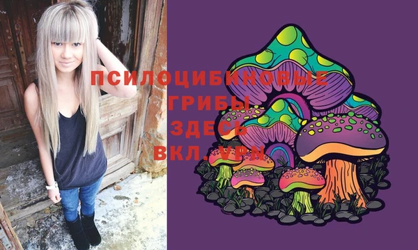 прущая мука Инсар