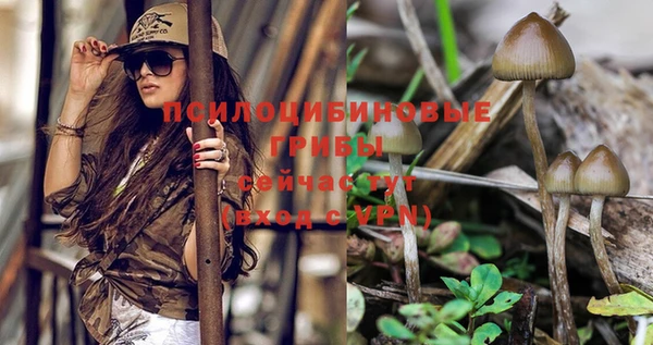 СК Иноземцево