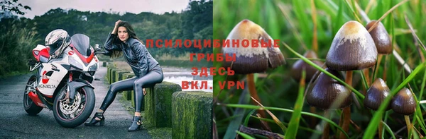 марки lsd Каменногорск