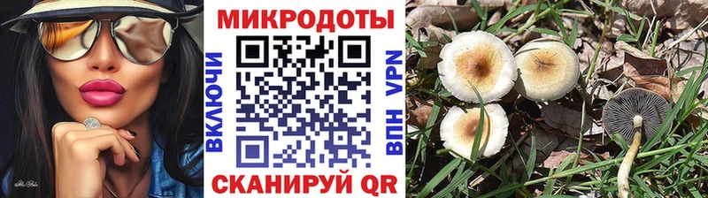 Купить где  Похвистнево  Псилоцибиновые грибы прущие грибы 